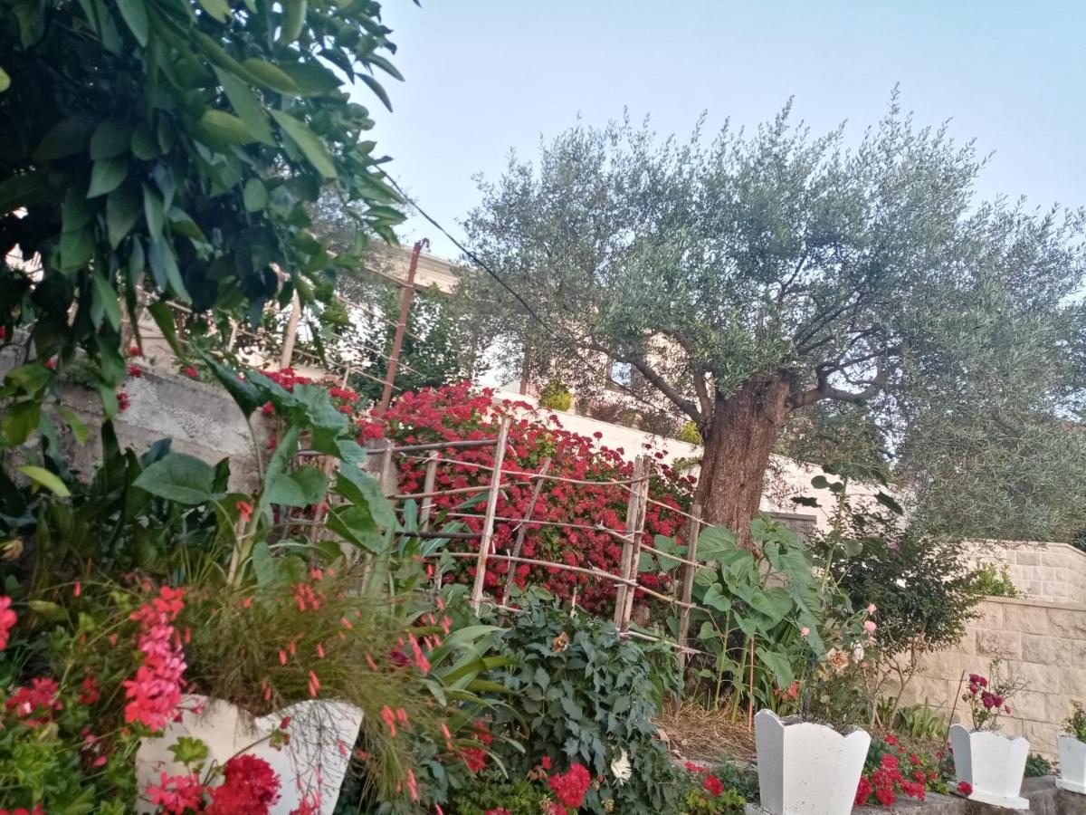 Apartmani Bosco Tivat Exterior photo