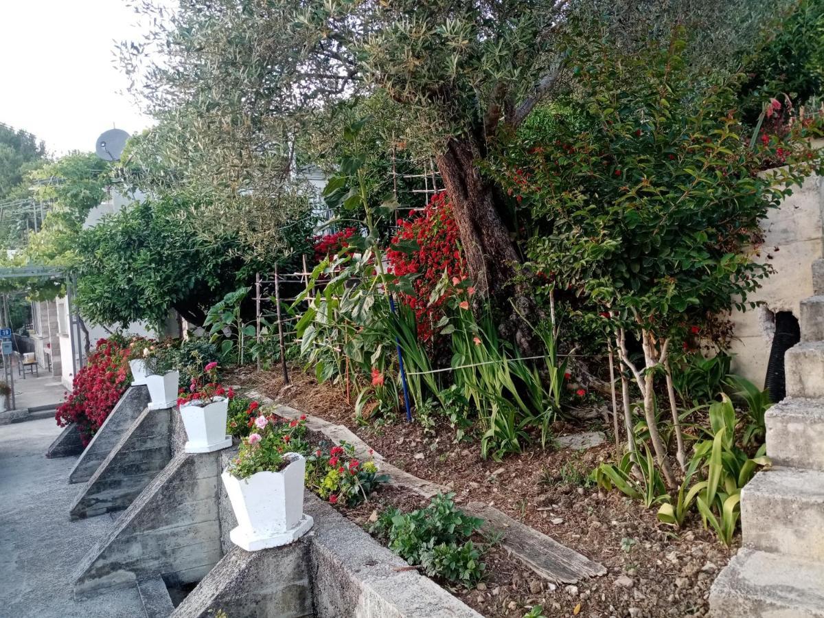 Apartmani Bosco Tivat Exterior photo
