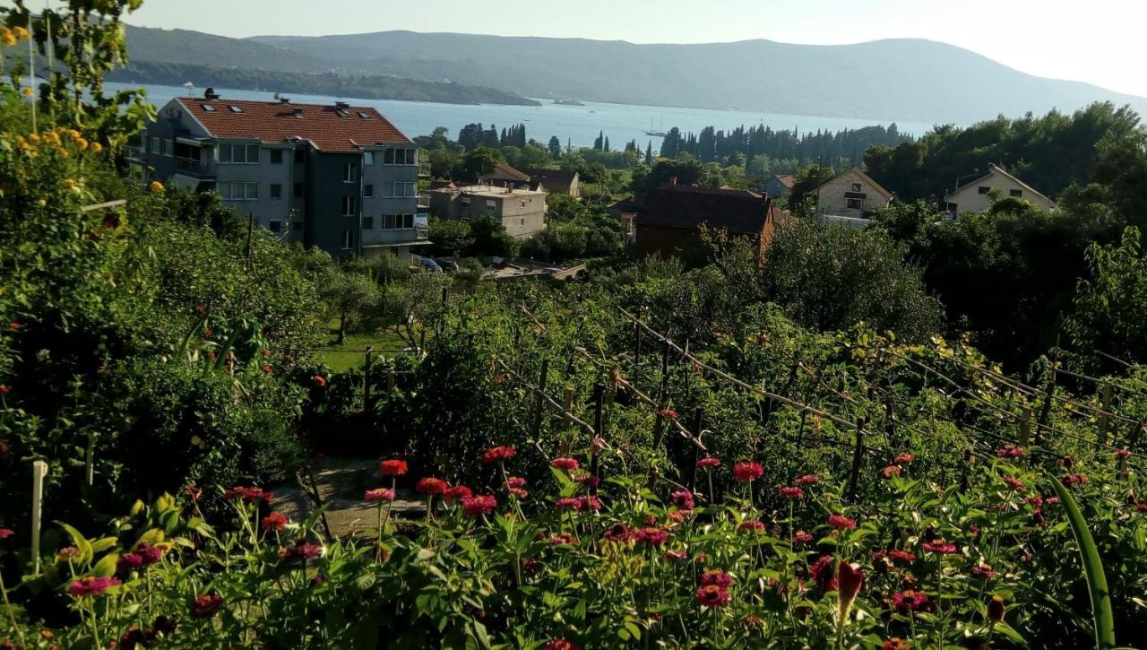 Apartmani Bosco Tivat Exterior photo