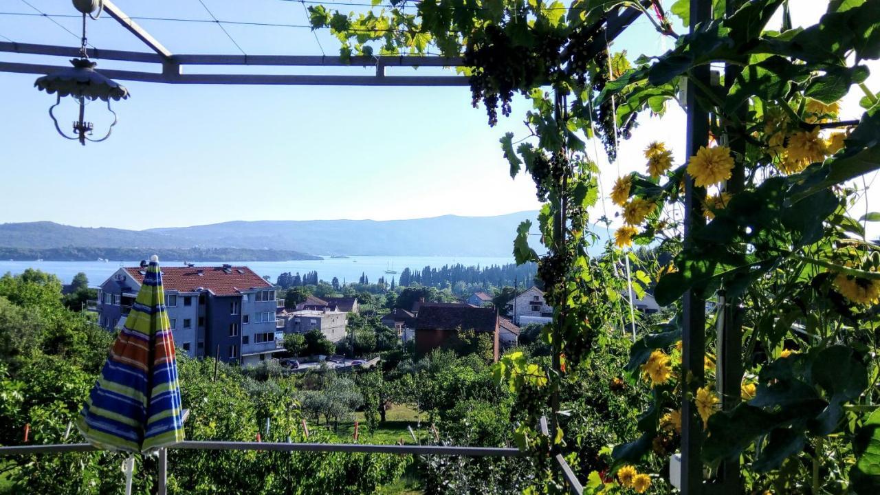 Apartmani Bosco Tivat Exterior photo