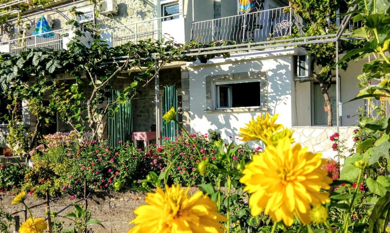 Apartmani Bosco Tivat Exterior photo