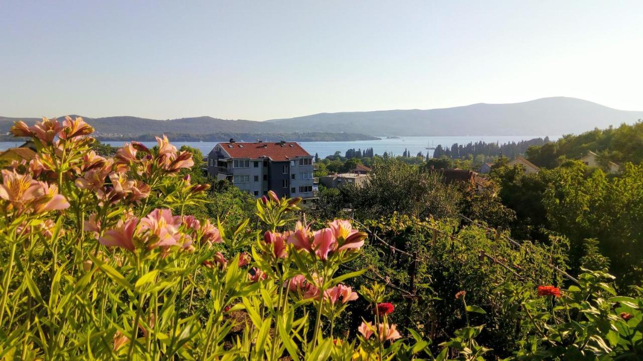 Apartmani Bosco Tivat Exterior photo