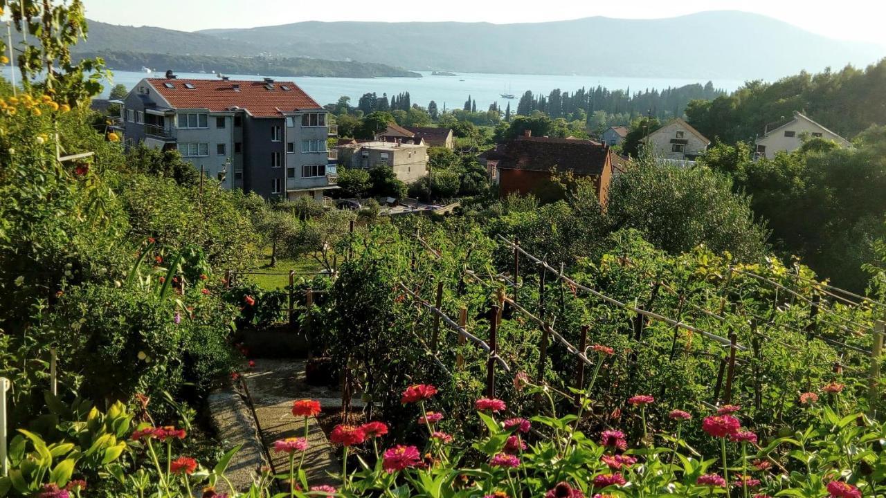 Apartmani Bosco Tivat Exterior photo